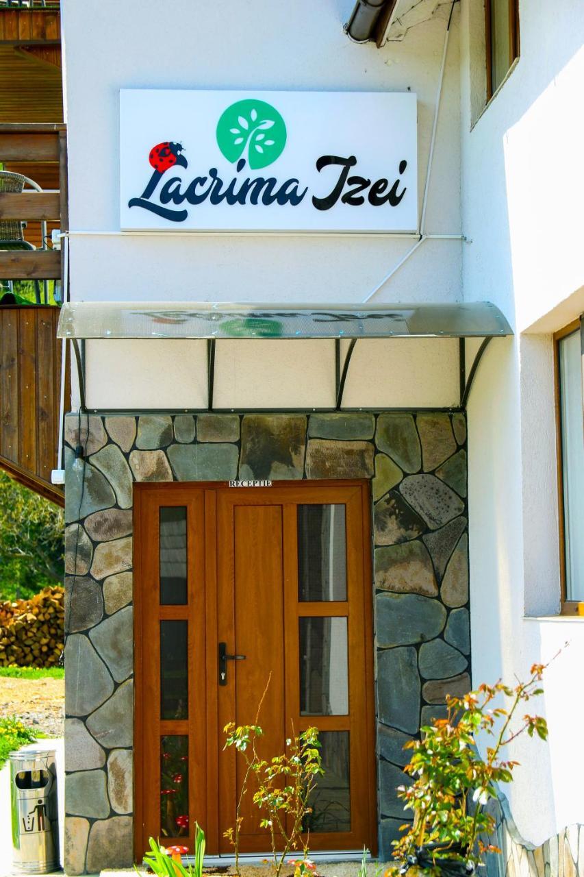 Lacrima Izei Villa Săcel Exterior foto